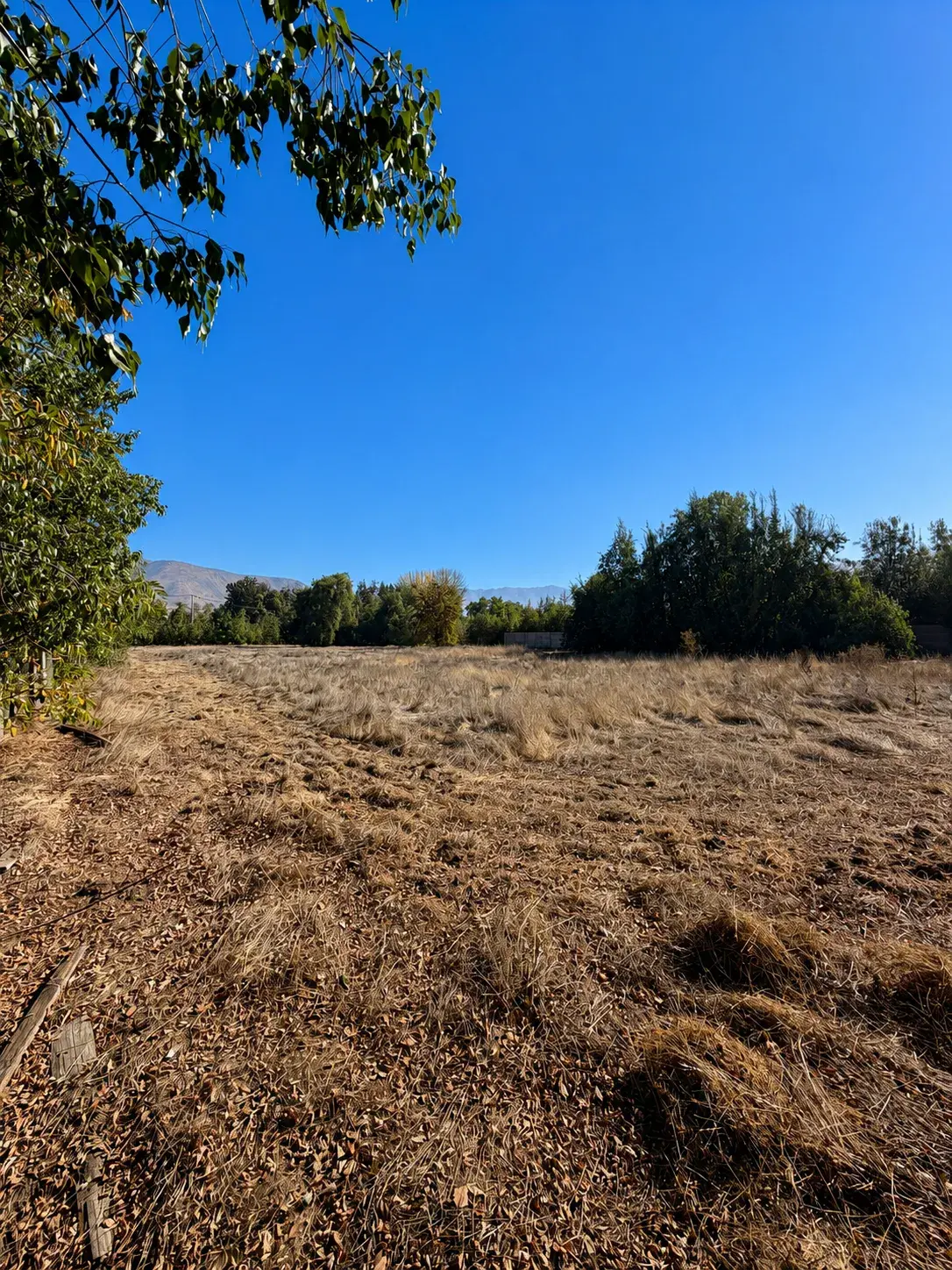 Vista del Lote 7 hacia la cordillera con árboles a la izquierda — Parcela en Lampa