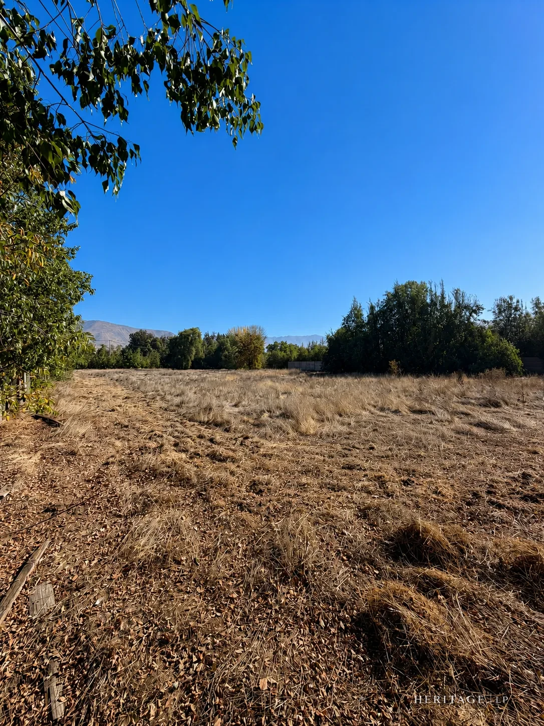 Vista del Lote 7 hacia la cordillera con árboles a la izquierda — Parcela en Lampa