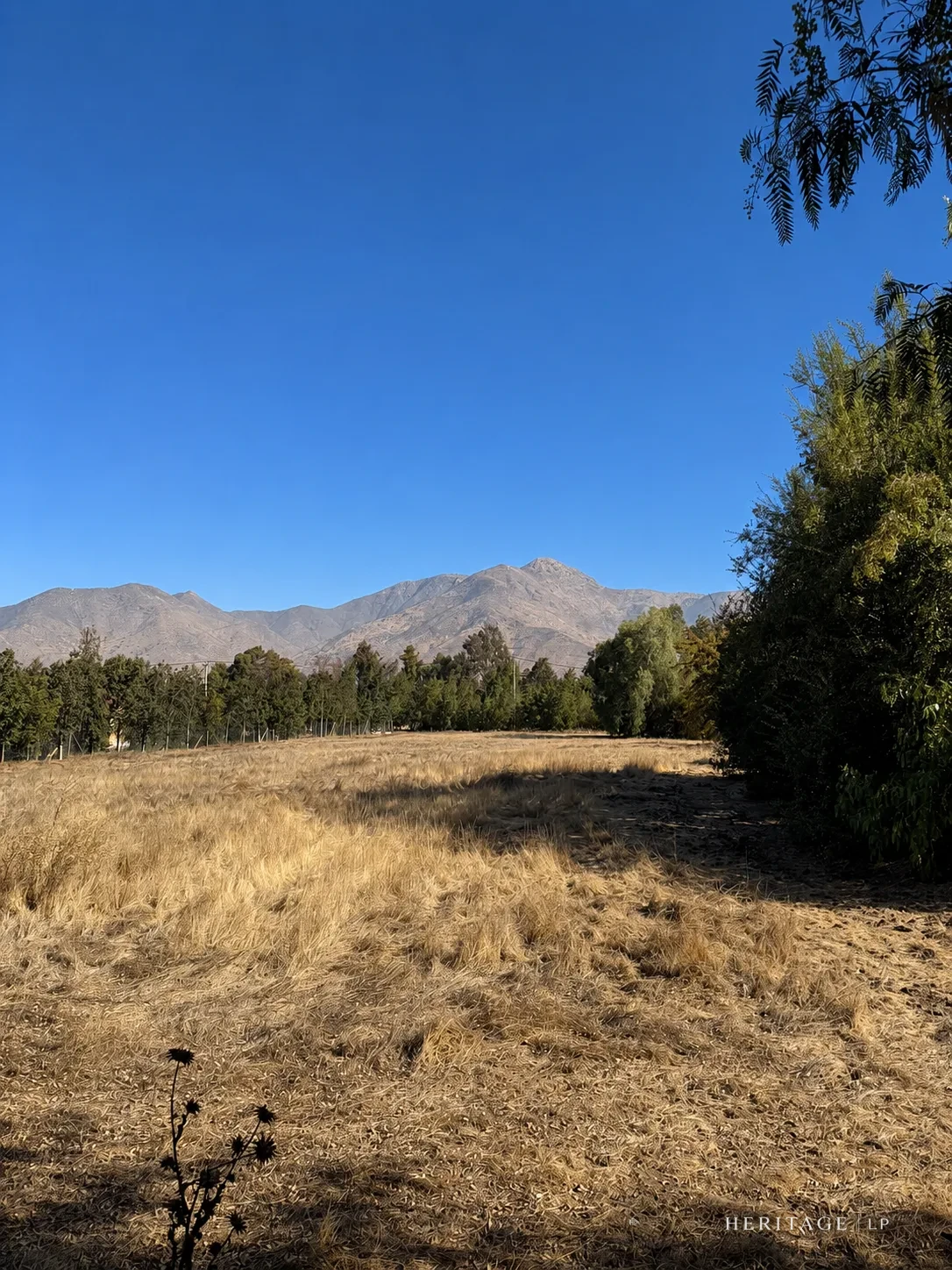 Vista del Lote 7 con la cordillera de los Andes al fondo — Parcela en Lampa