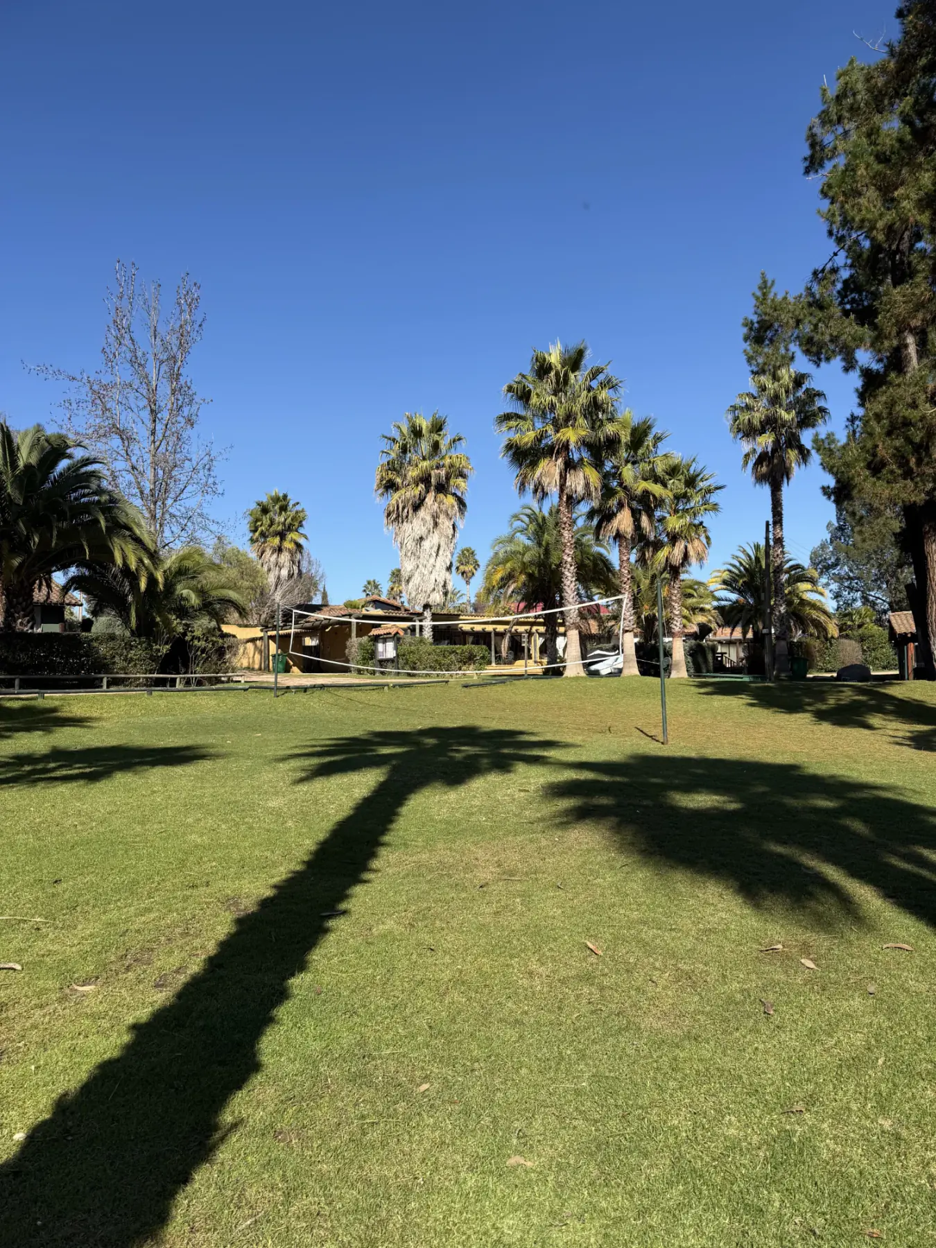 Áreas verdes con palmeras del condominio Marina Las Piedras