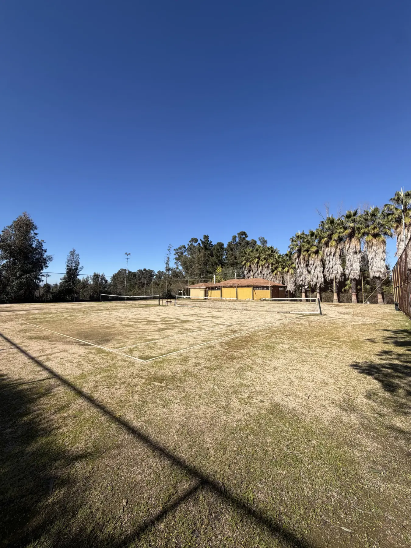 Canchas de tenis y vóleibol del condominio