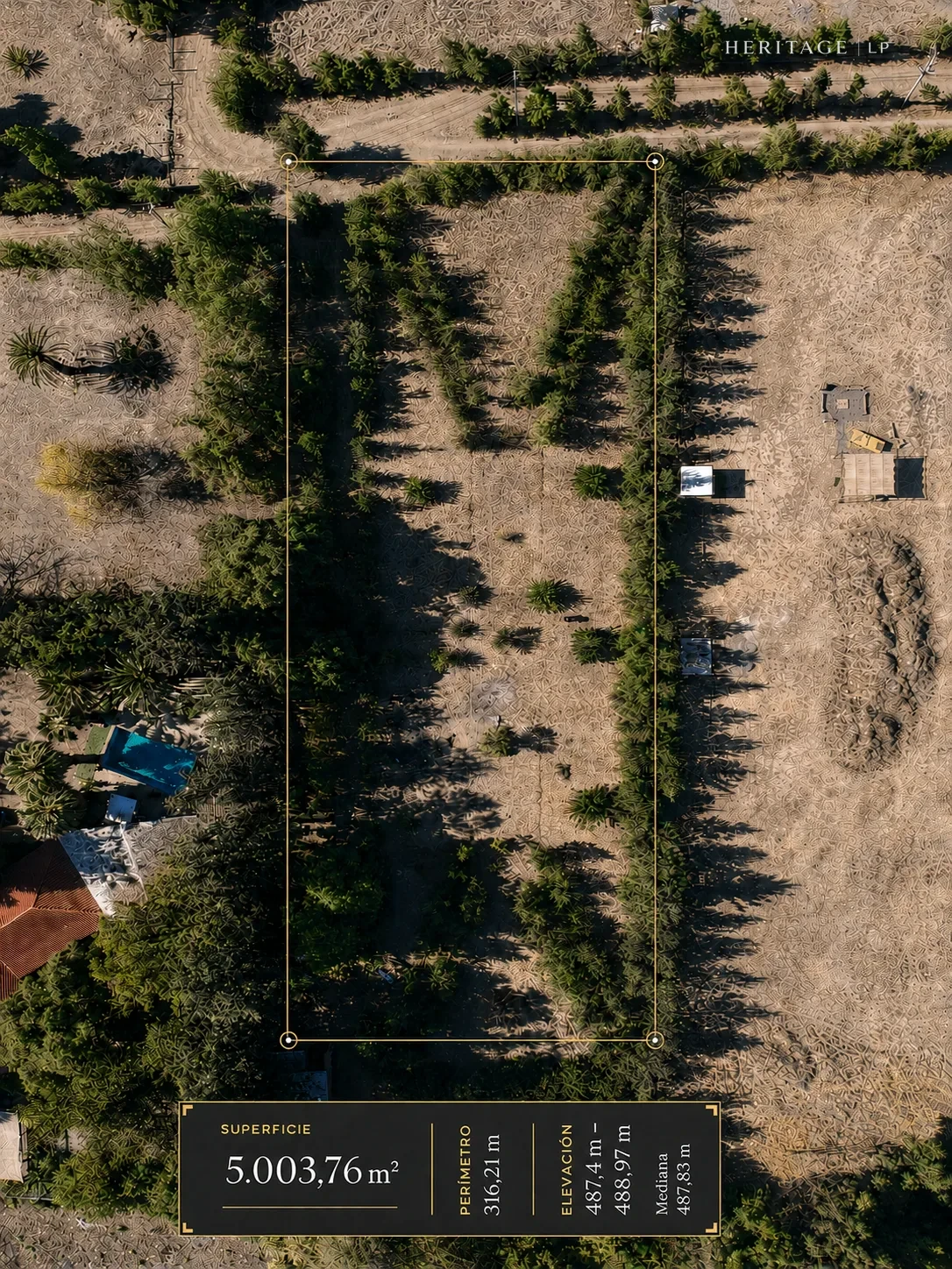 Vista aérea top-down del Lote 8 con polígono del lote, superficie 5.003,76 m², perímetro 316,21 m y elevación